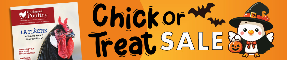 Festive graphic with the headline, Chick or Treat Sale, featuring a cartoon chick dressed up for Halloween, and a cover of Backyard Poultry featuring a close-up of a chicken.